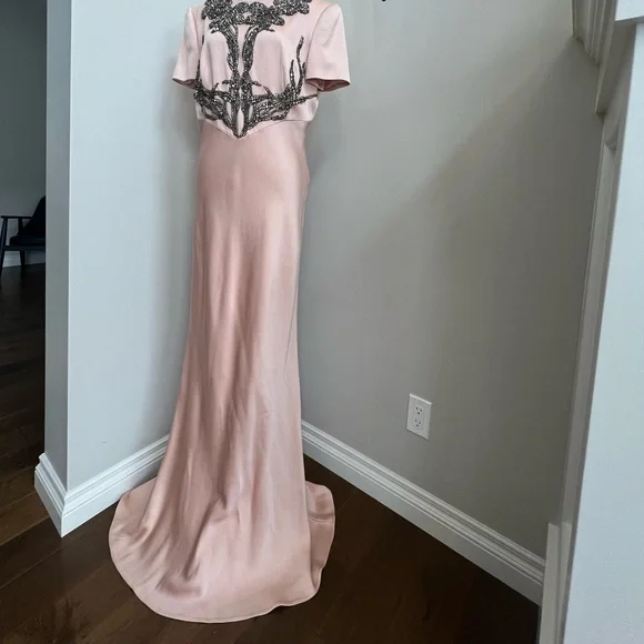 Gorgeous Alexander McQueen Gown size 48 - Picture 11 of 12